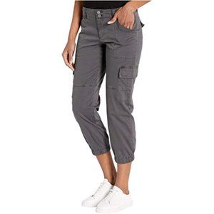 Sanctuary Terrain 2020 Cargo Pants -- Gray